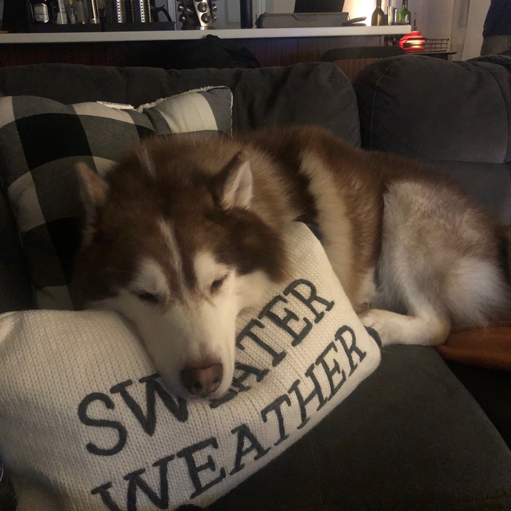 Meet your Posher, Sierra